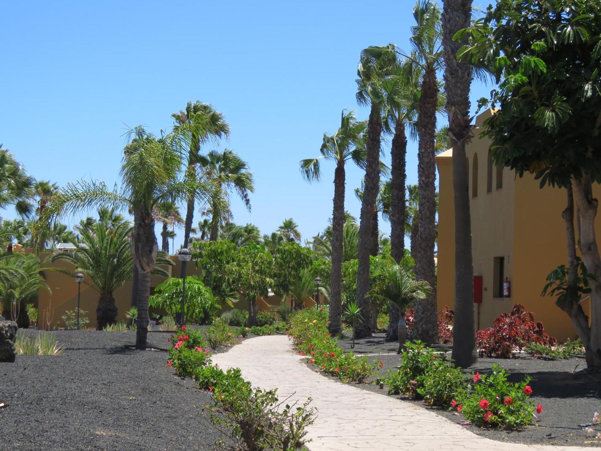 Casa Mona Apartment Corralejo Exterior photo
